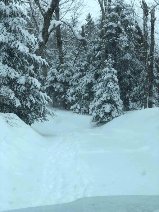 Chalet L'Erable Mont-Tremblant/Lac Superieur & Spa ภายนอก รูปภาพ