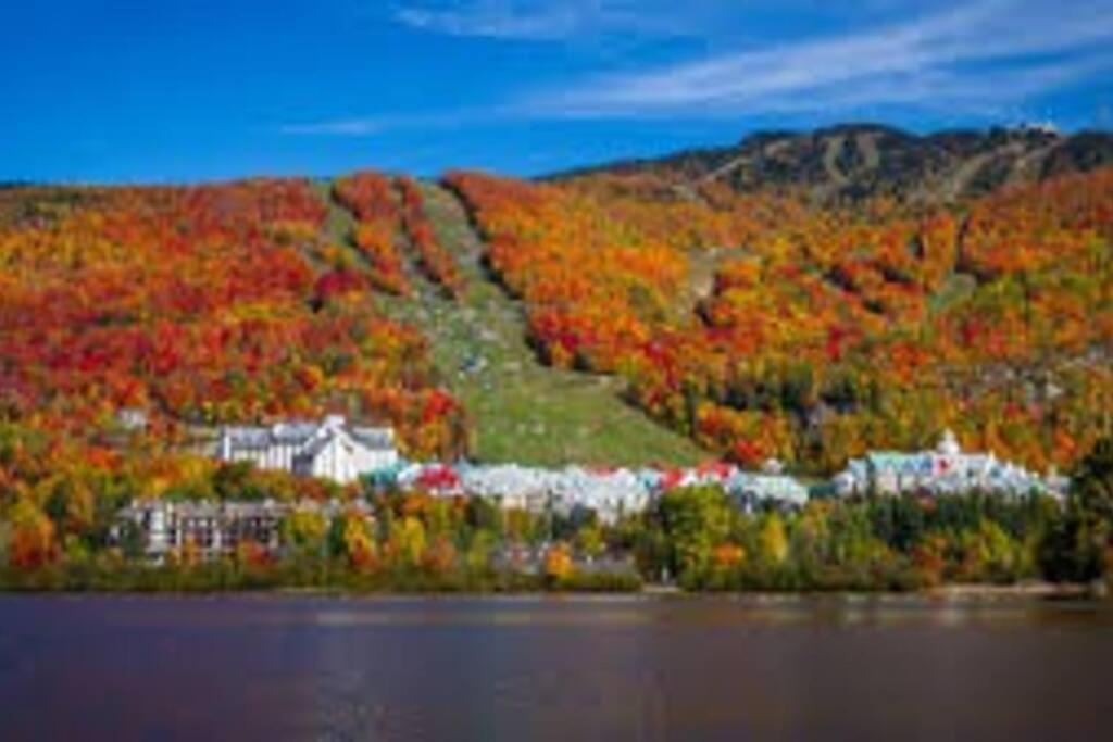 Chalet L'Erable Mont-Tremblant/Lac Superieur & Spa ภายนอก รูปภาพ